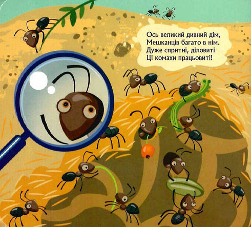 Who is hiding underground